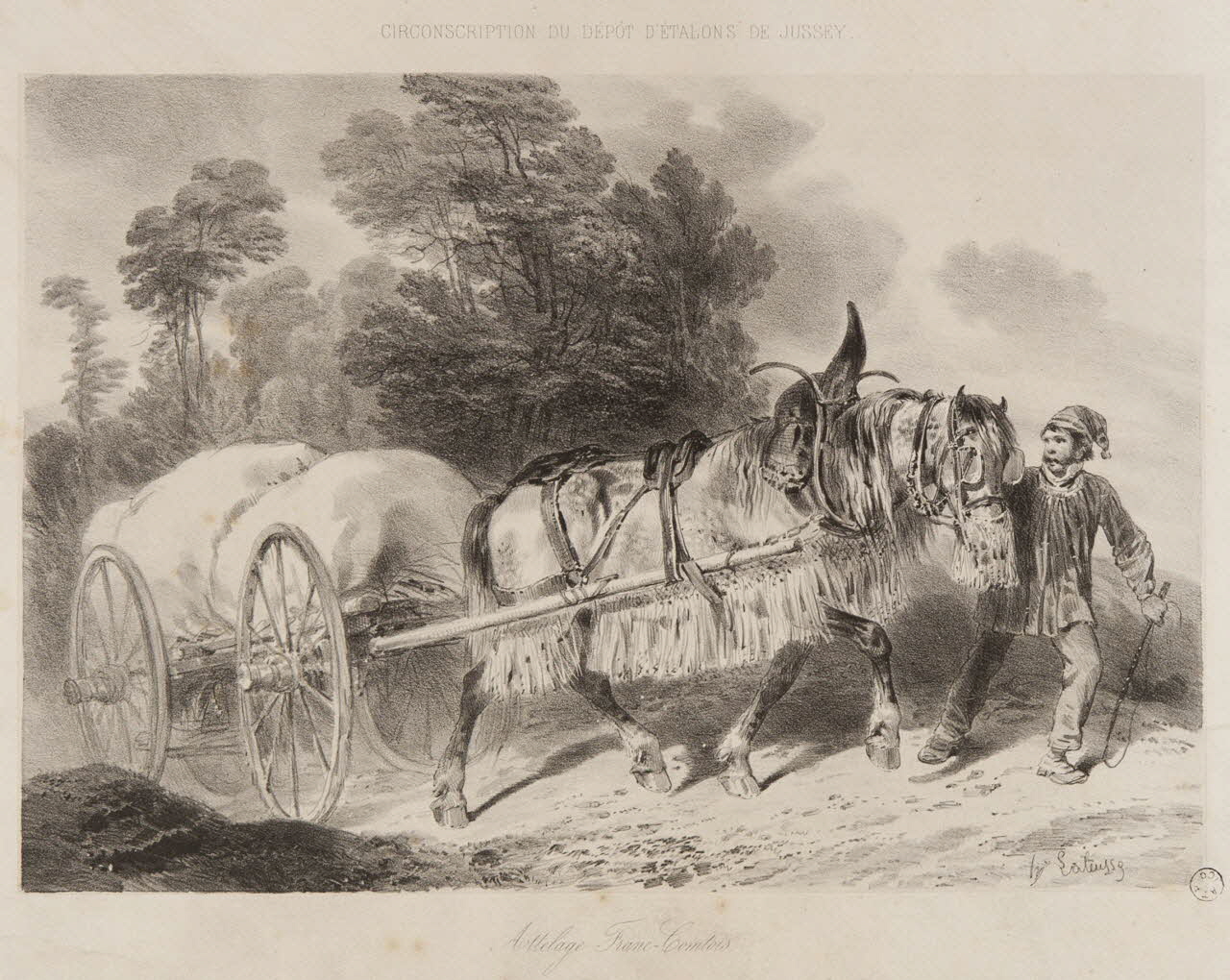 estampe Attelage Franc-Comtois 1967.131.7.1 Photo