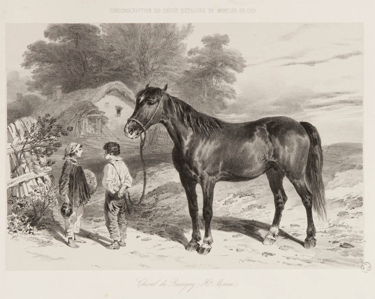 estampe Cheval de Bassigny (Hte Marne) 1967.131.9.1 Photo
