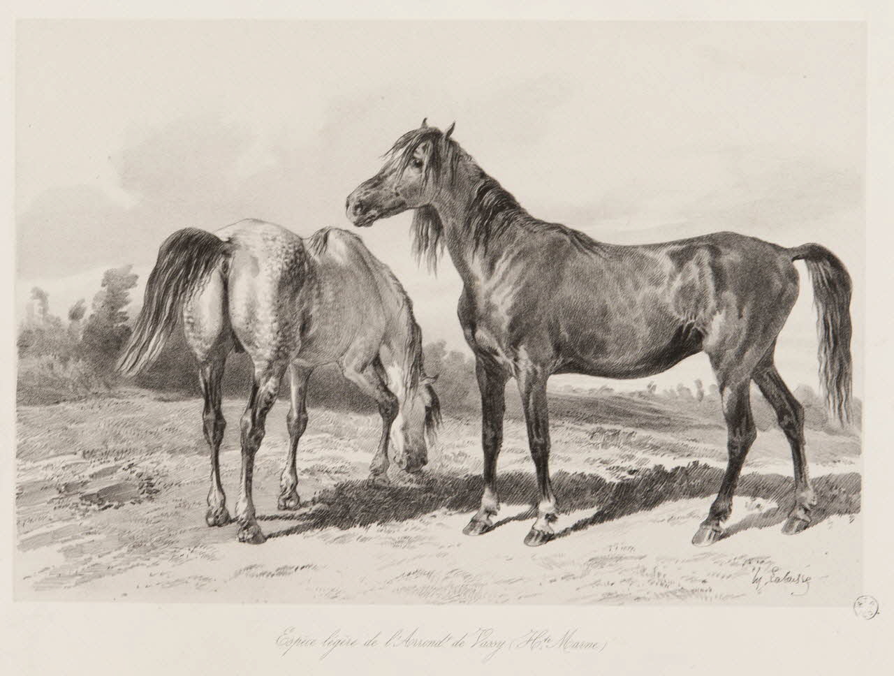 estampe Espèce légère de l'Arrondt de Vassy (Hte Marne) 1967.131.9.2 Photo