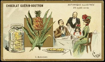 carte réclame L'Ananas. 1967.183.2  Photo