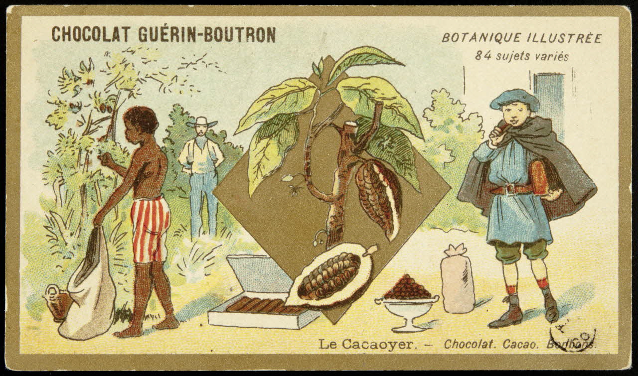 carte réclame Le Cacaoyer. - Chocolat. Cacao. Bonbons. 1967.183.4 Photo