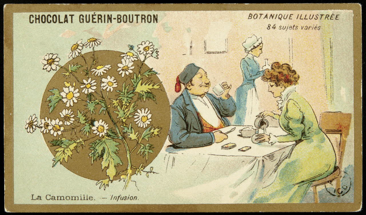 carte réclame La Camomille. - Infusion. 1967.183.6 Photo
