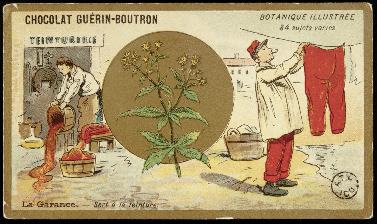 carte réclame La Garance. - Sert à la teinture. 1967.183.8 Photo