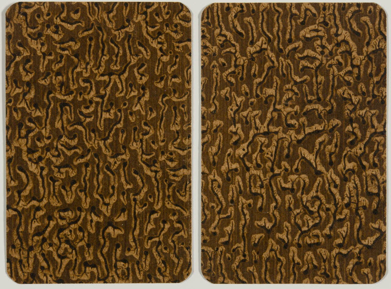 cartes à jouer Cartes à jouer 1967.185.2218.1/2 Photo