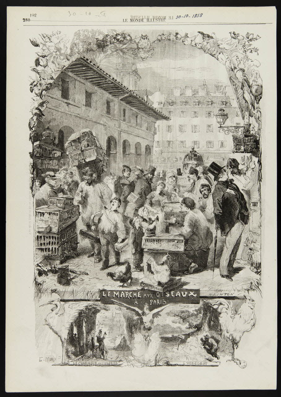 estampe LE MARCHE AUX OISEAUX.  A. PARIS. 1967.60.104 Photo