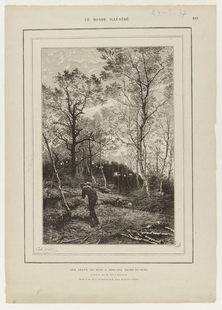 estampe UNE COUPE DE BOIS A SENLISSE (SEINE-ET-OISE) 1967.60.224 Photo