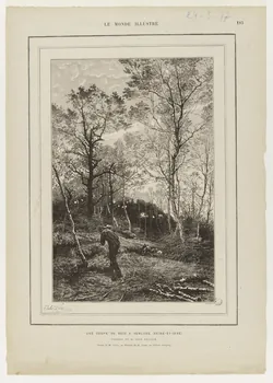 estampe UNE COUPE DE BOIS A SENLISSE (SEINE-ET-OISE) 1967.60.224  Photo