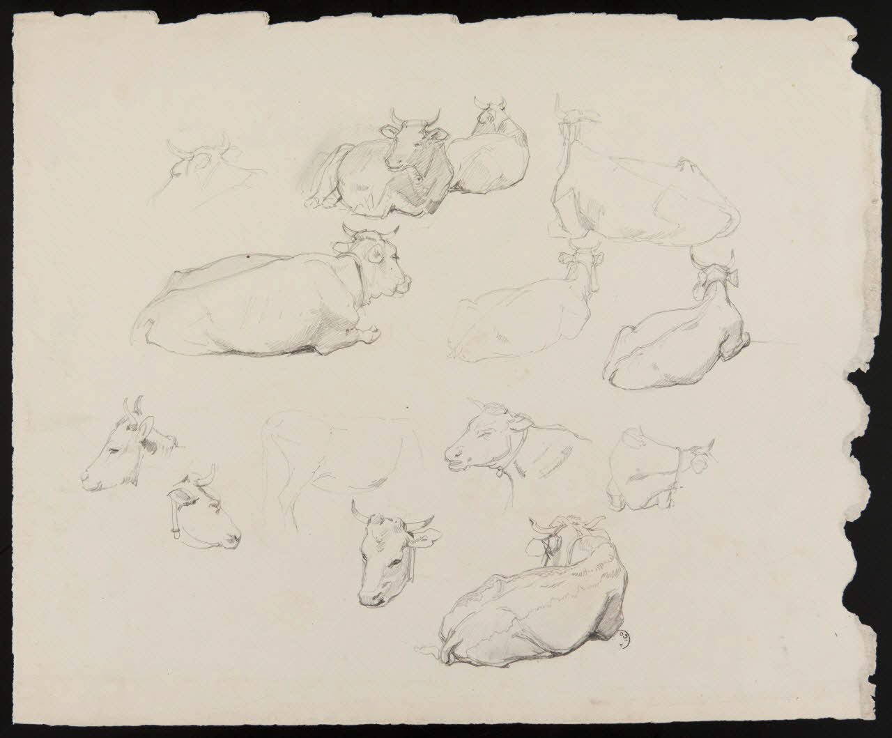 dessin double face Etudes de vaches 1967.60.252 Photo