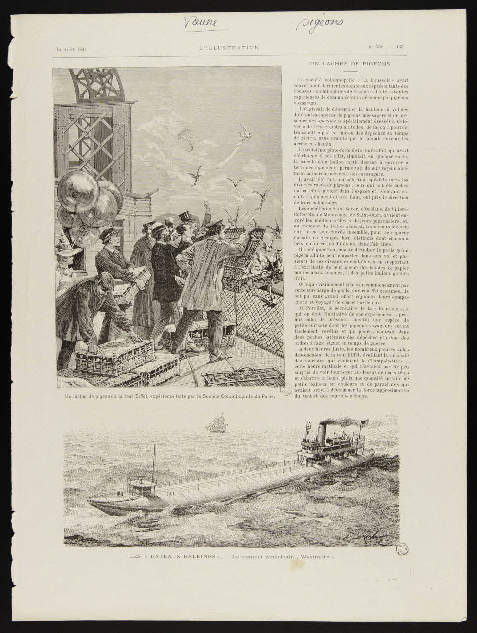 estampe Un lâcher de pigeon à la tour Eiffel, expérience faite par la Société Colombophile de Paris.  LES "BATEAUX-BALEINES". - Le steamer américain "Westmore". 1967.60.386 Photo