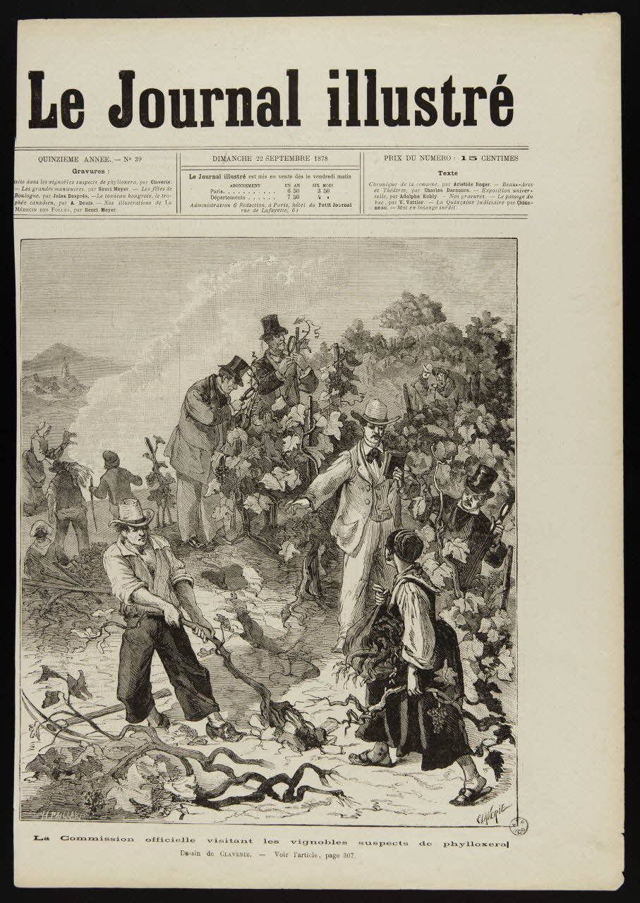 estampe La Commission officielle visitant les vignobles suspects de phylloxera 1967.60.401 Photo