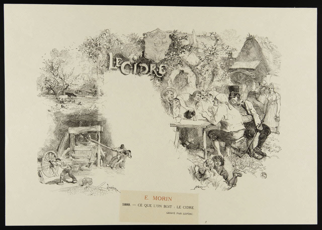 estampe E. MORIN  1880. - CE QUE L'ON BOIT : LE CIDRE 1967.78.34 Photo