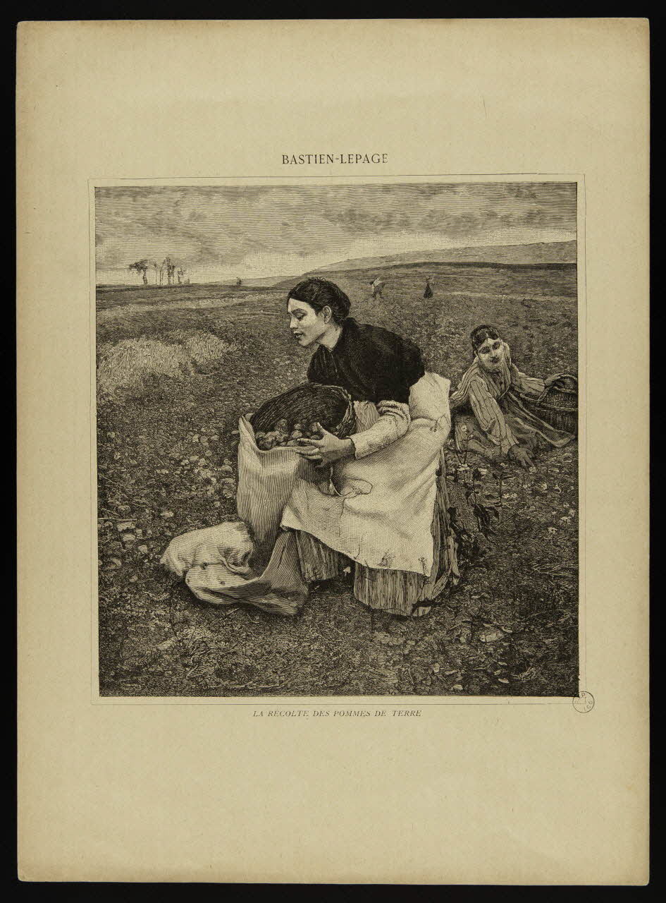 estampe LA RECOLTE DE POMMES DE TERRE 1969.2.9 Photo