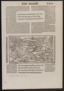 estampe Liber fecundus 1969.5.15 Photo