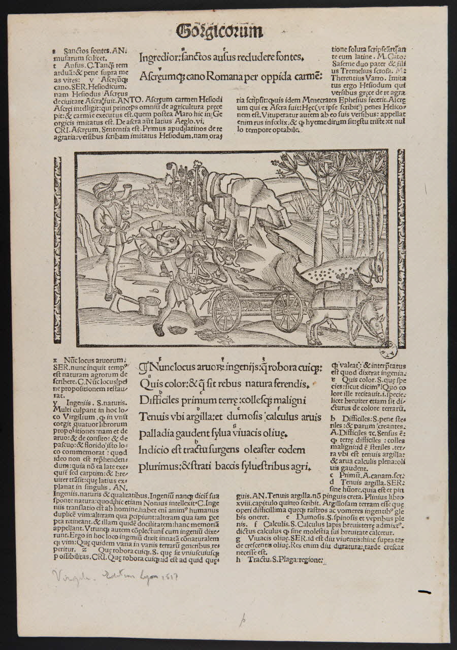 estampe Gorgicorum 1969.5.16 Photo