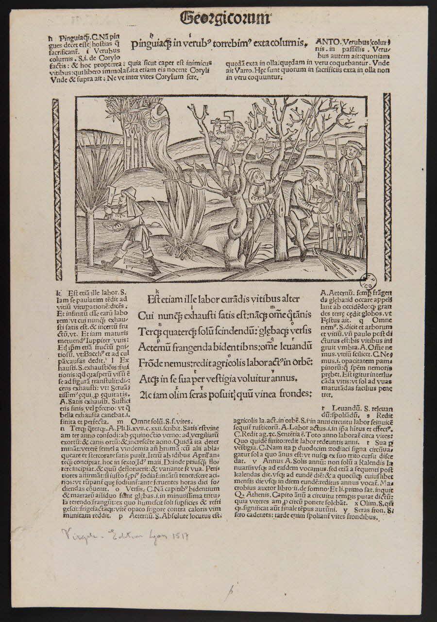 estampe Georgicorum 1969.5.21 Photo