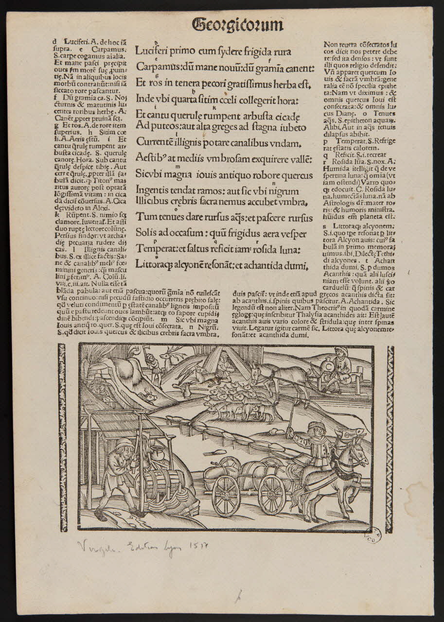 estampe Georgicorum 1969.5.23 Photo