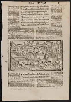 estampe Liber Tertius 1969.5.24 Photo