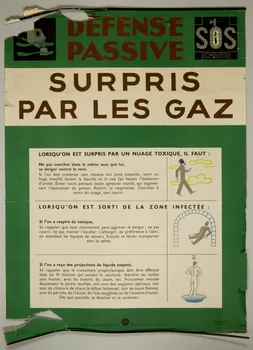 estampe SURPRIS  PAR LE GAZ 1969.60.58  Photo