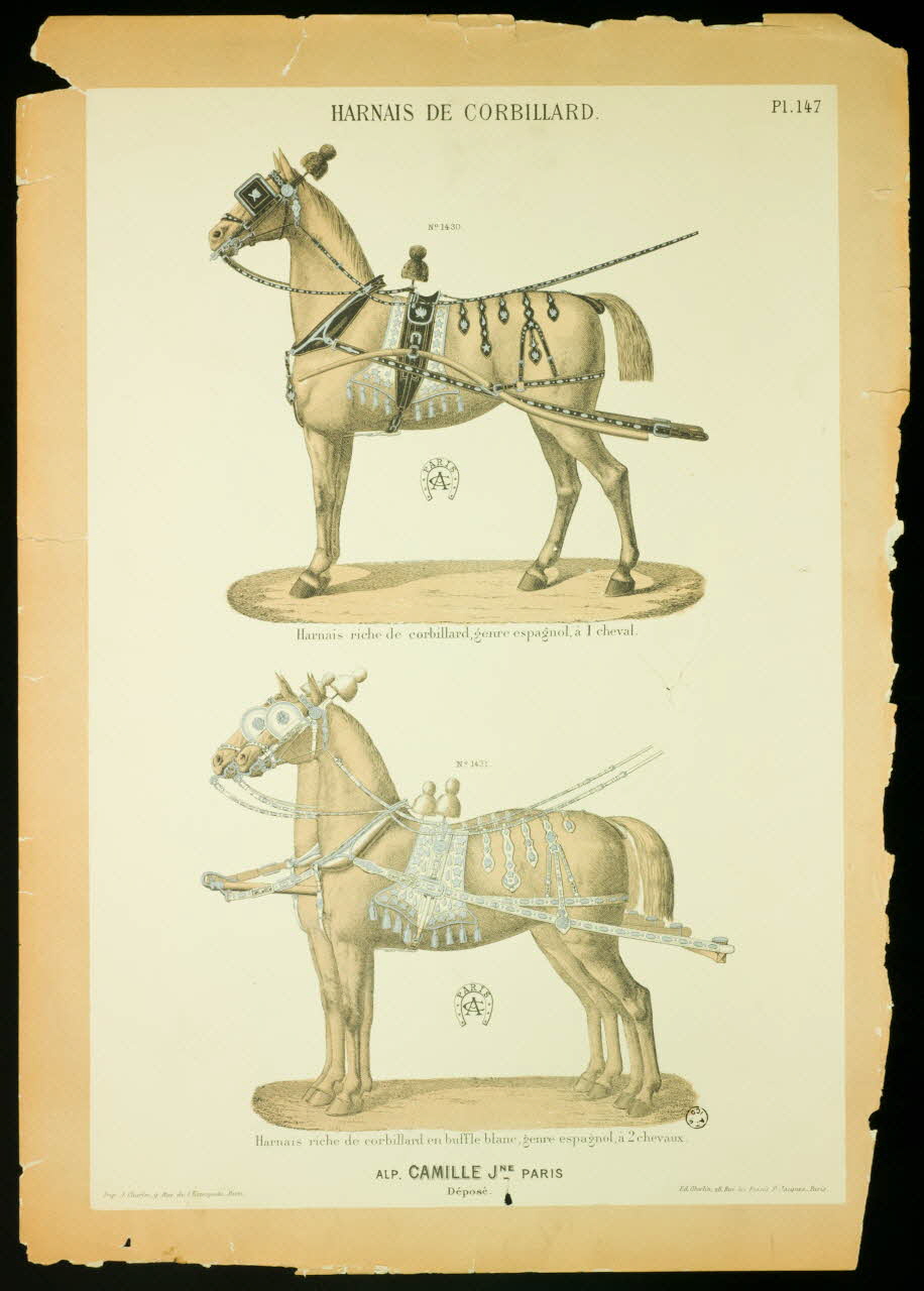 estampe HARNAIS DE CORBILLARD. 1969.78.11 Photo