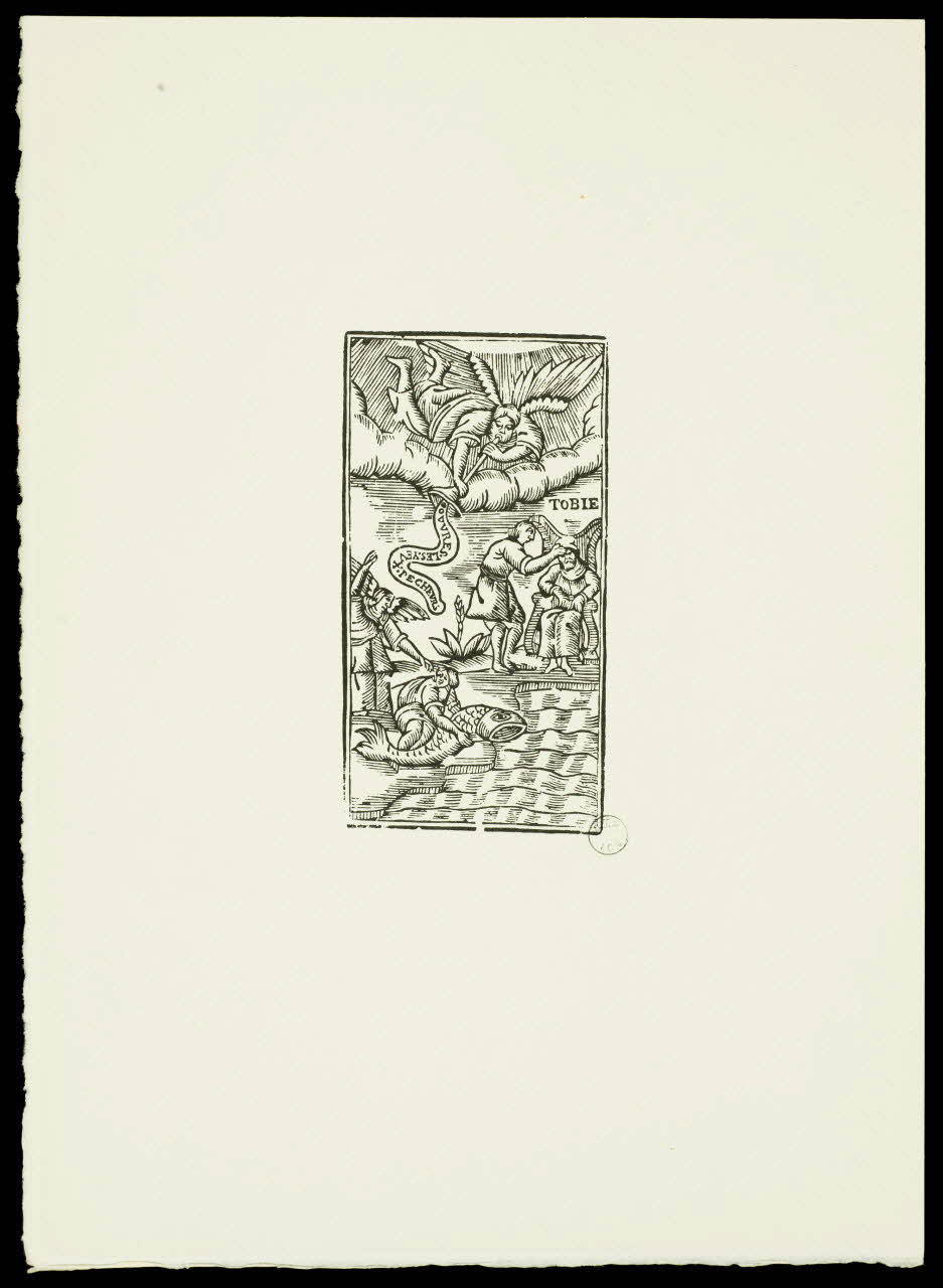 estampe TOBIE 1969.87.261.1 Photo