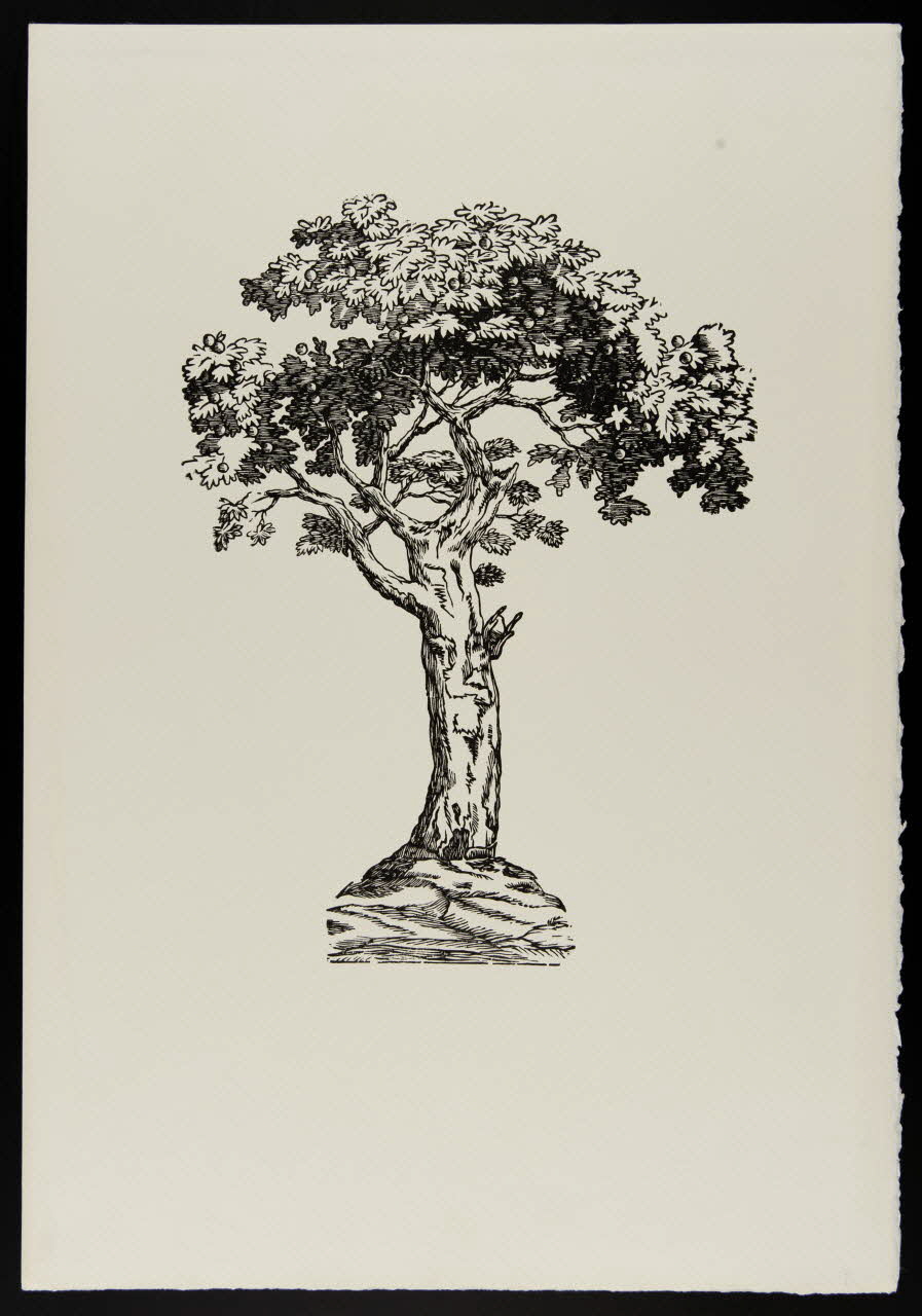 estampe Pommier 1969.87.445.1 Photo
