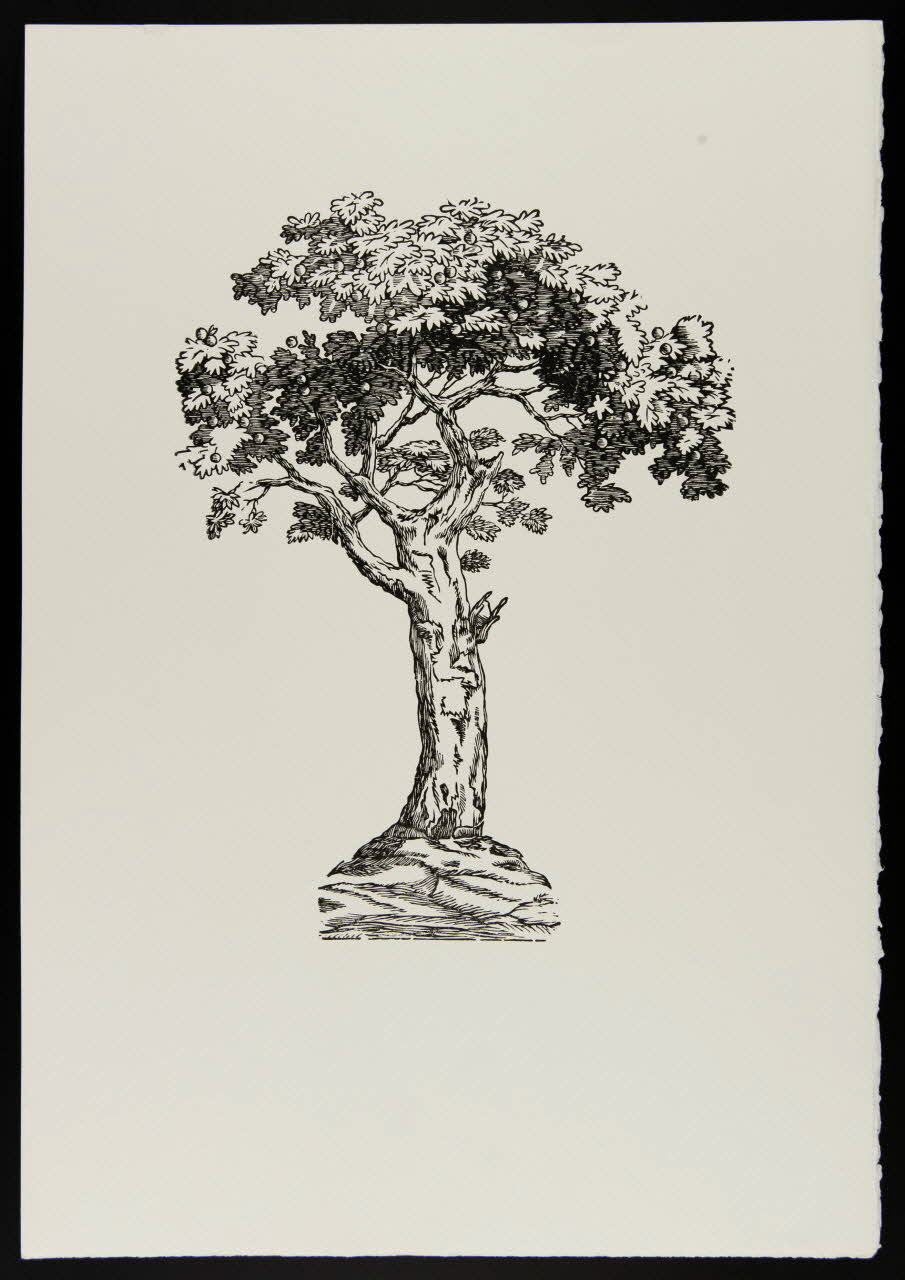 estampe Pommier 1969.87.445.3 Photo
