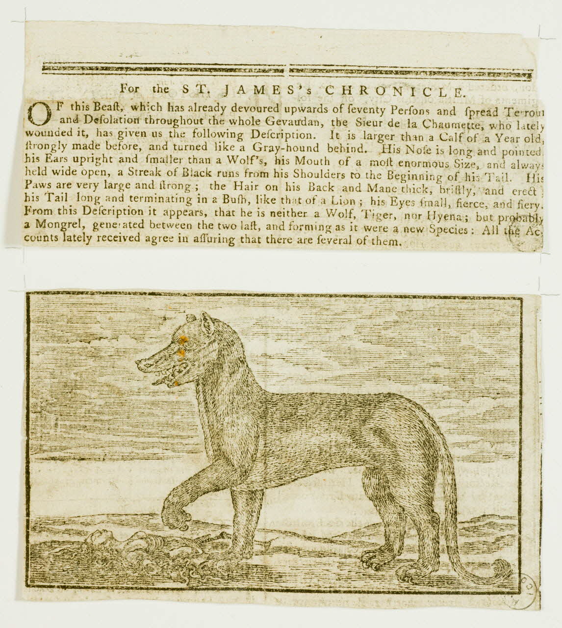 estampe Le Gévaudan 1971.38.5.1-2 Photo