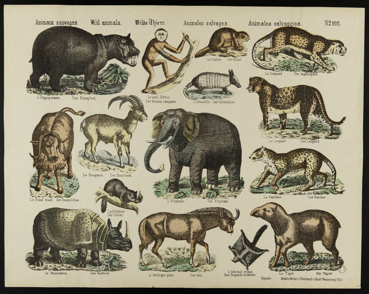 estampe Animaux sauvages. 1971.59.60 Photo