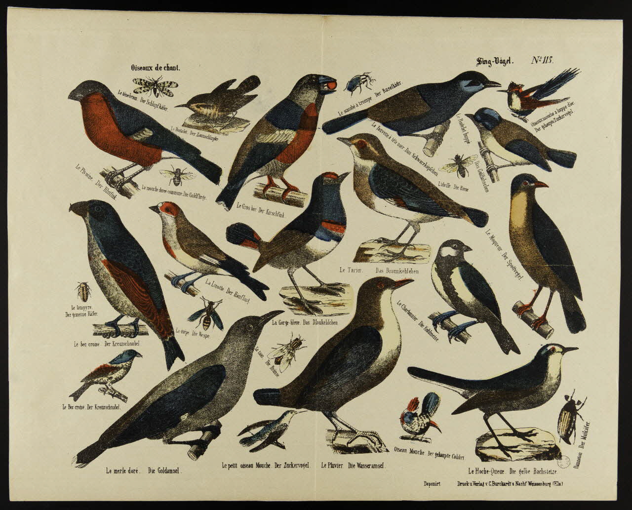 estampe Oiseaux de chant. 1971.59.61 Photo