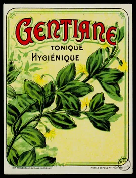 estampe GENTIANE 1971.9.111 Photo