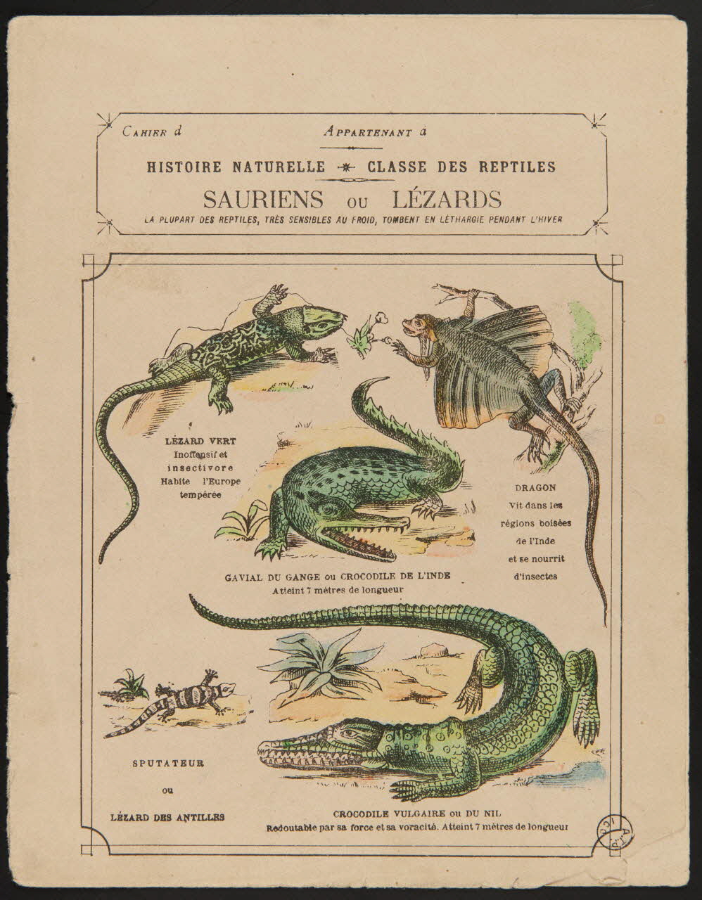 estampe HISTOIRE NATURELLE  CLASSE DES REPTILES  SAURIENS OU LEZARDS 1971.9.80 Photo