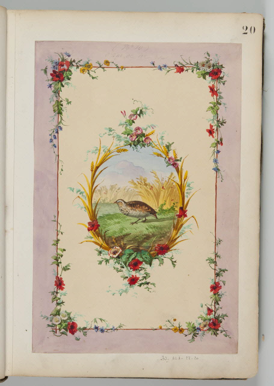 Louis Thivet album Projet de store de boutique : encadrement de fleurs des champs, médaillon avec une caille dans les blés 1886-1914 1970.101.28.20 Photo