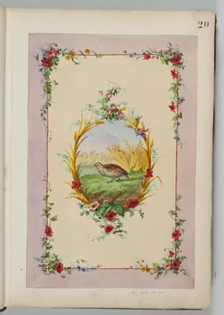 Louis Thivet album Projet de store de boutique : encadrement de fleurs des champs, médaillon avec une caille dans les blés 1886-1914 1970.101.28.20  Photo