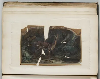 Louis Thivet album Projet de store : biche près d'un cours d'eau 1886-1914 1970.101.28.84  Photo
