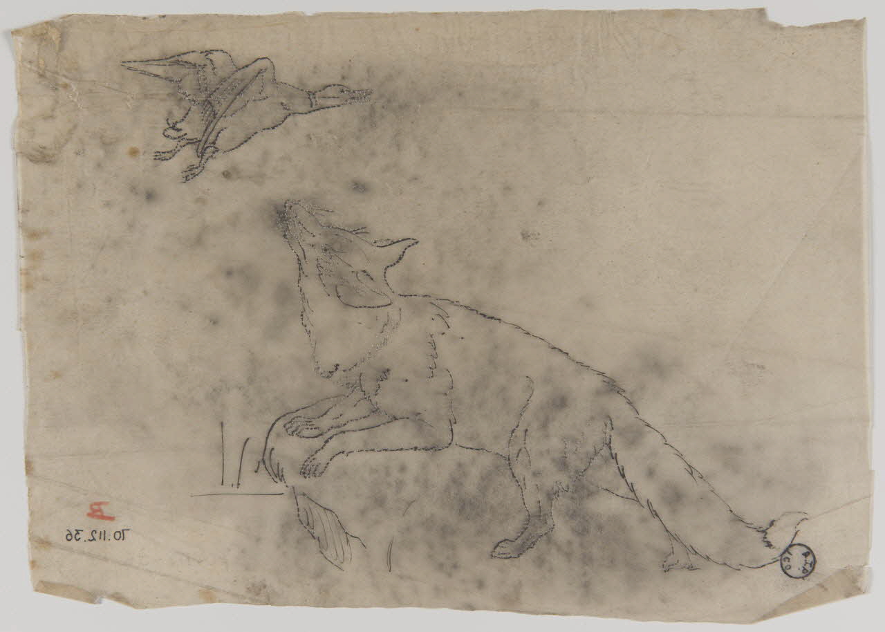 dessin Renard et canard 1970.112.36 Photo