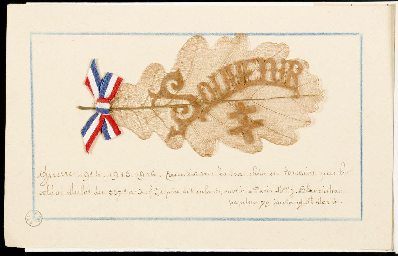Herbier Herbier : souvenir de guerre 1970.23.35 Photo