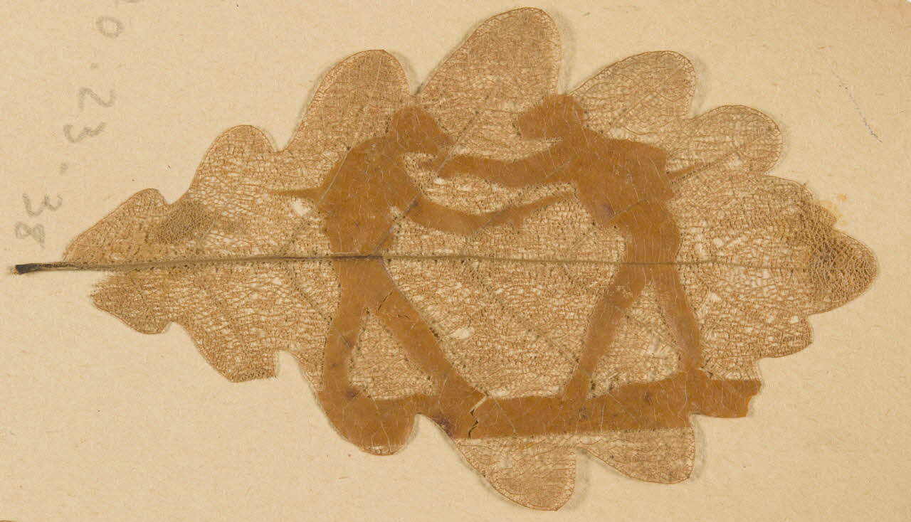 Herbier Herbier 1970.23.38 Photo