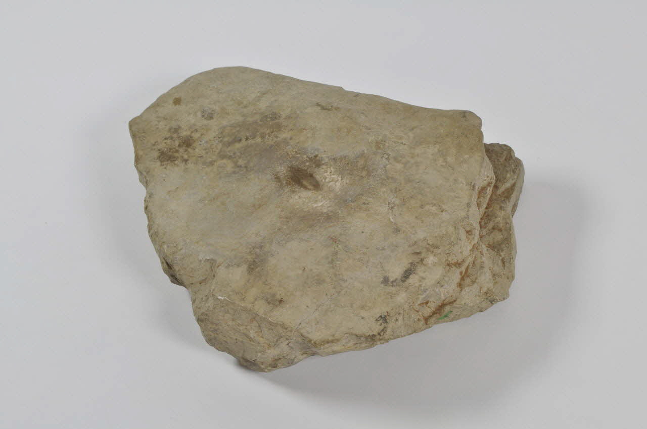 LAUZE DE CASSEUSE D'AMANDES lauso 1965.47.9 Photo Mucem
