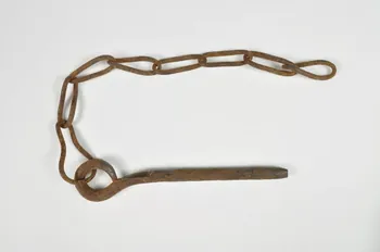 TIMON 1944 1965.5.11.2 Photo Mucem