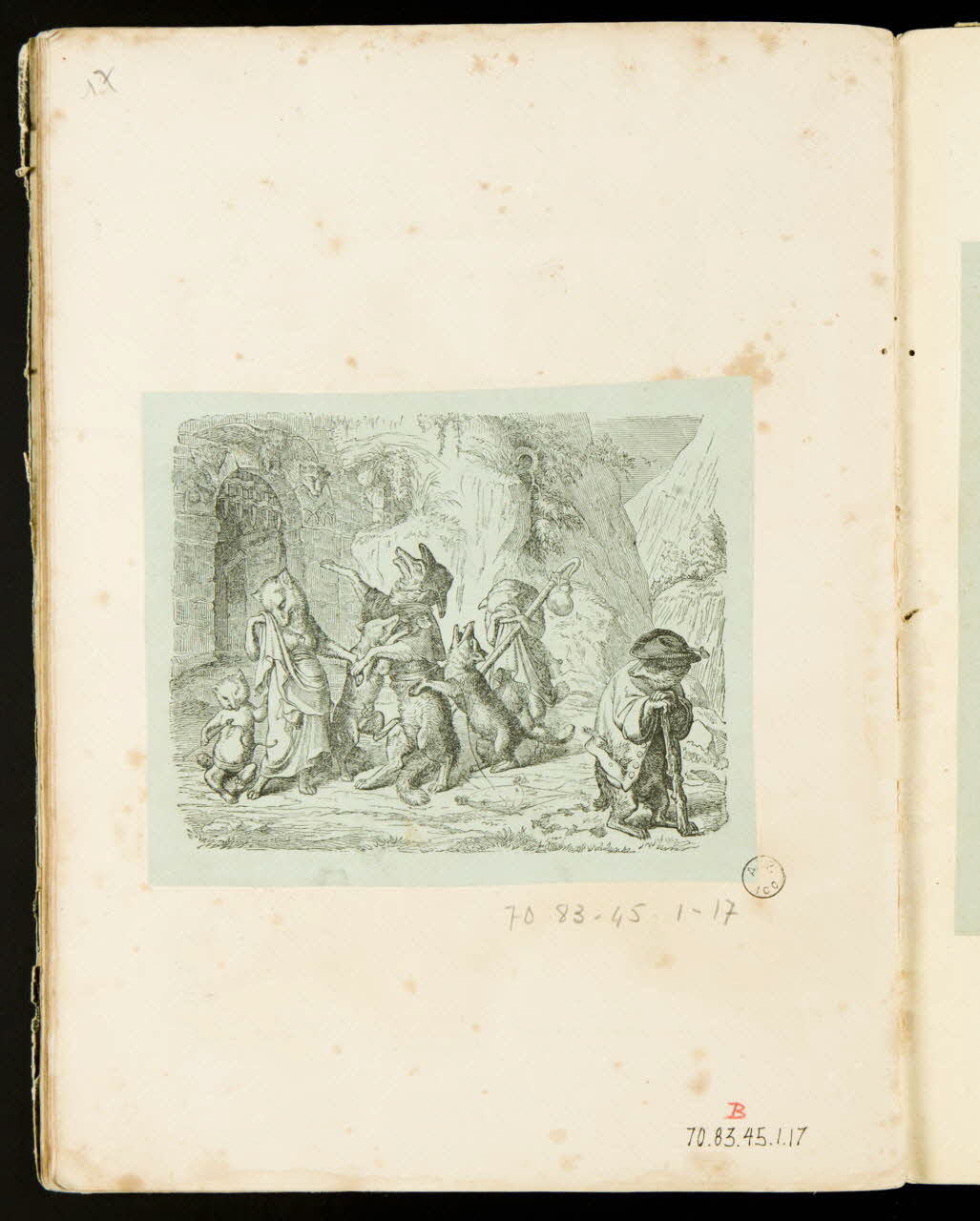 album Famille de renards 1970.83.45.1.17 Photo