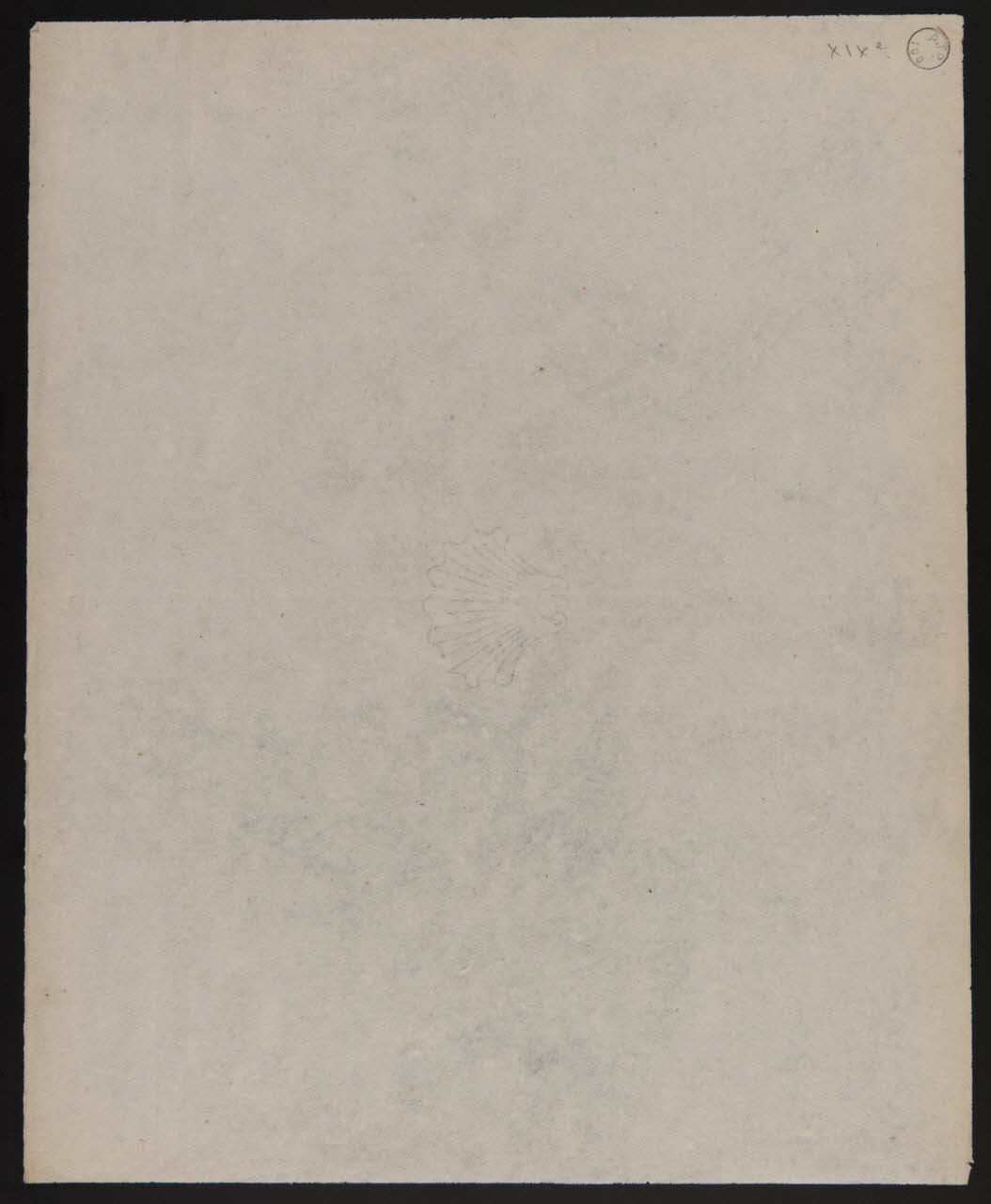 estampe Coque en filigrane. 1970.94.11 Photo