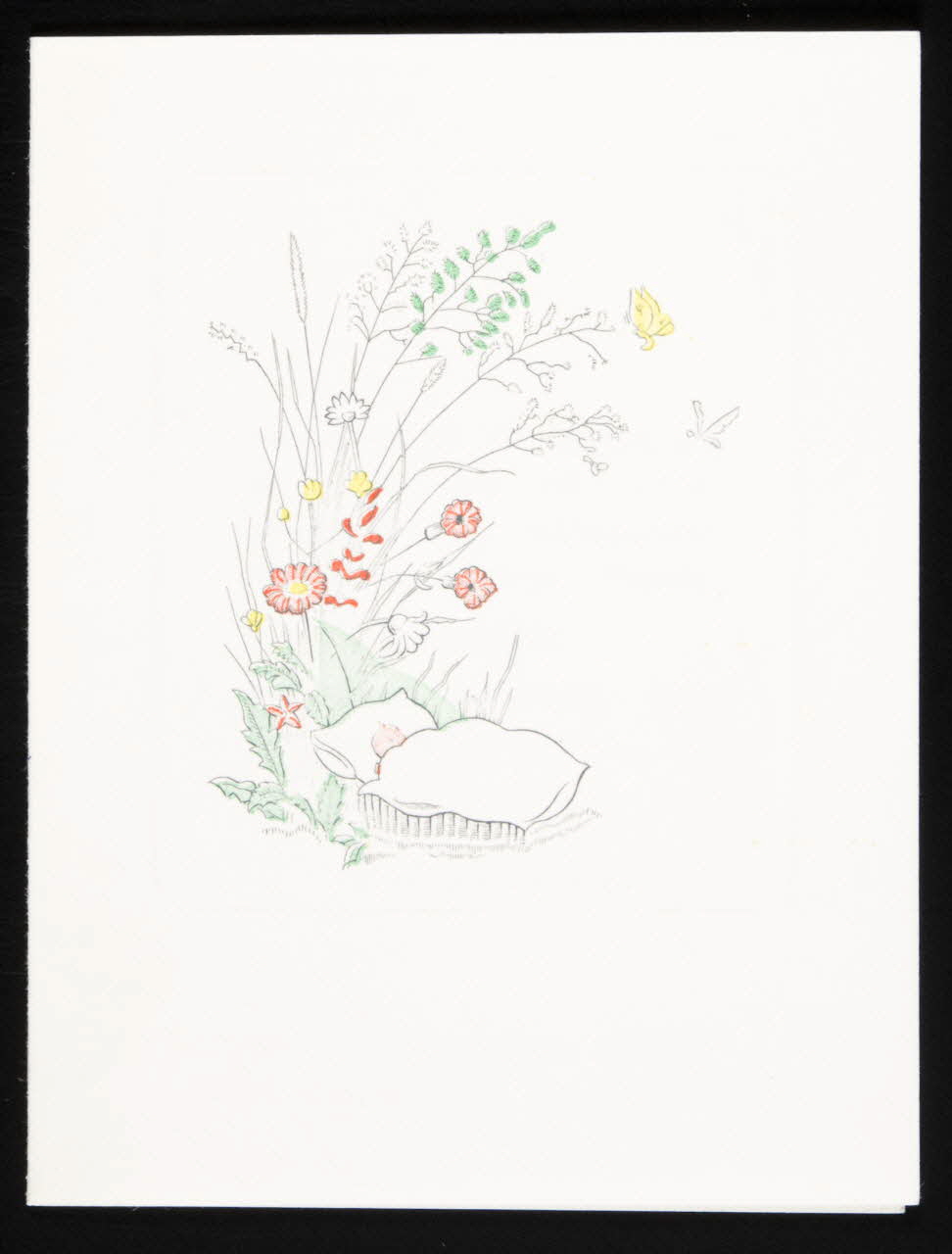 estampe Faire-part de naissance 1979.29.425 Photo