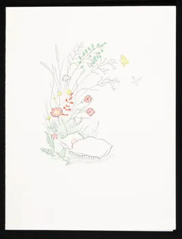 estampe Faire-part de naissance 1979.29.425 Photo