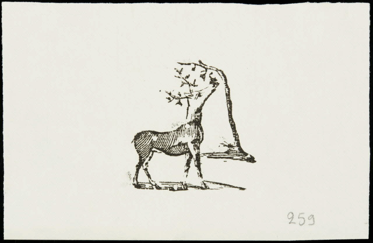 estampe Un cerf 1985.51.715.1 Photo