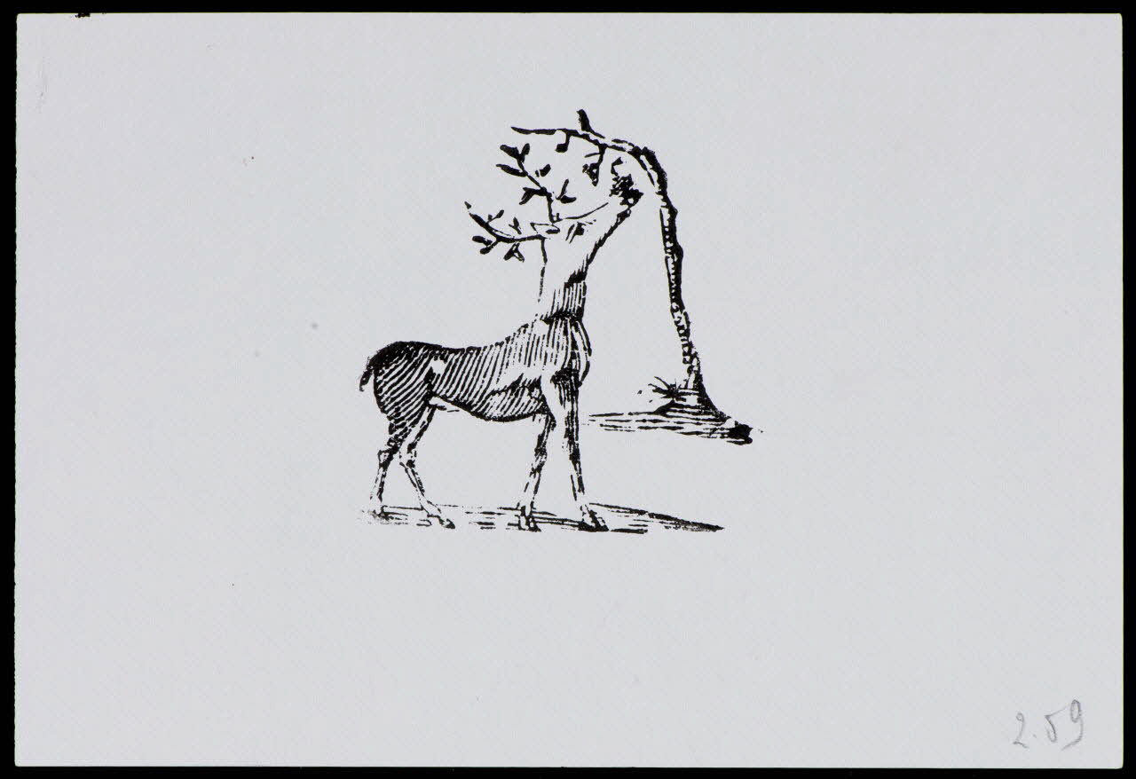 estampe Cerf 1985.51.715.2 Photo