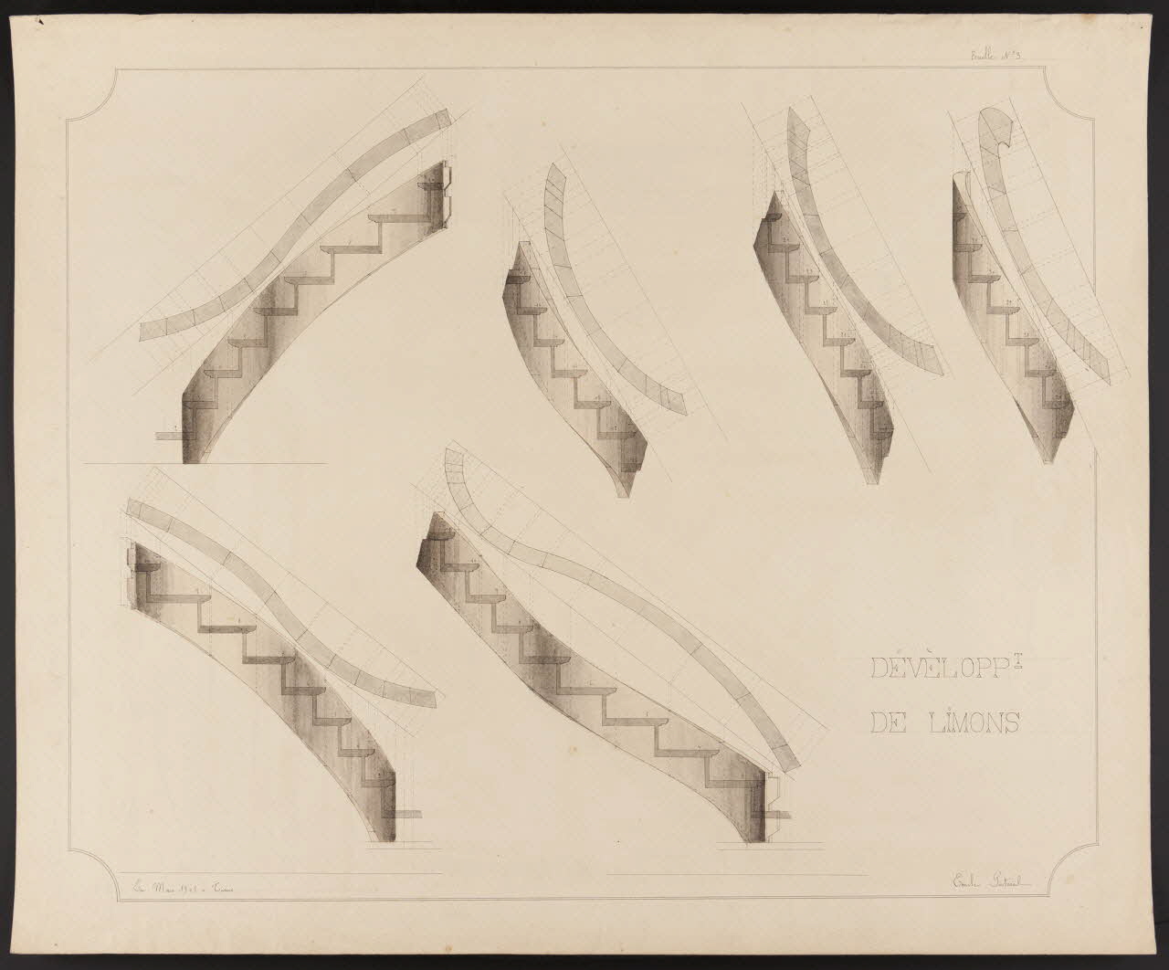 dessin DEVELOPPt  DE LIMONS 1985.51.776 Photo