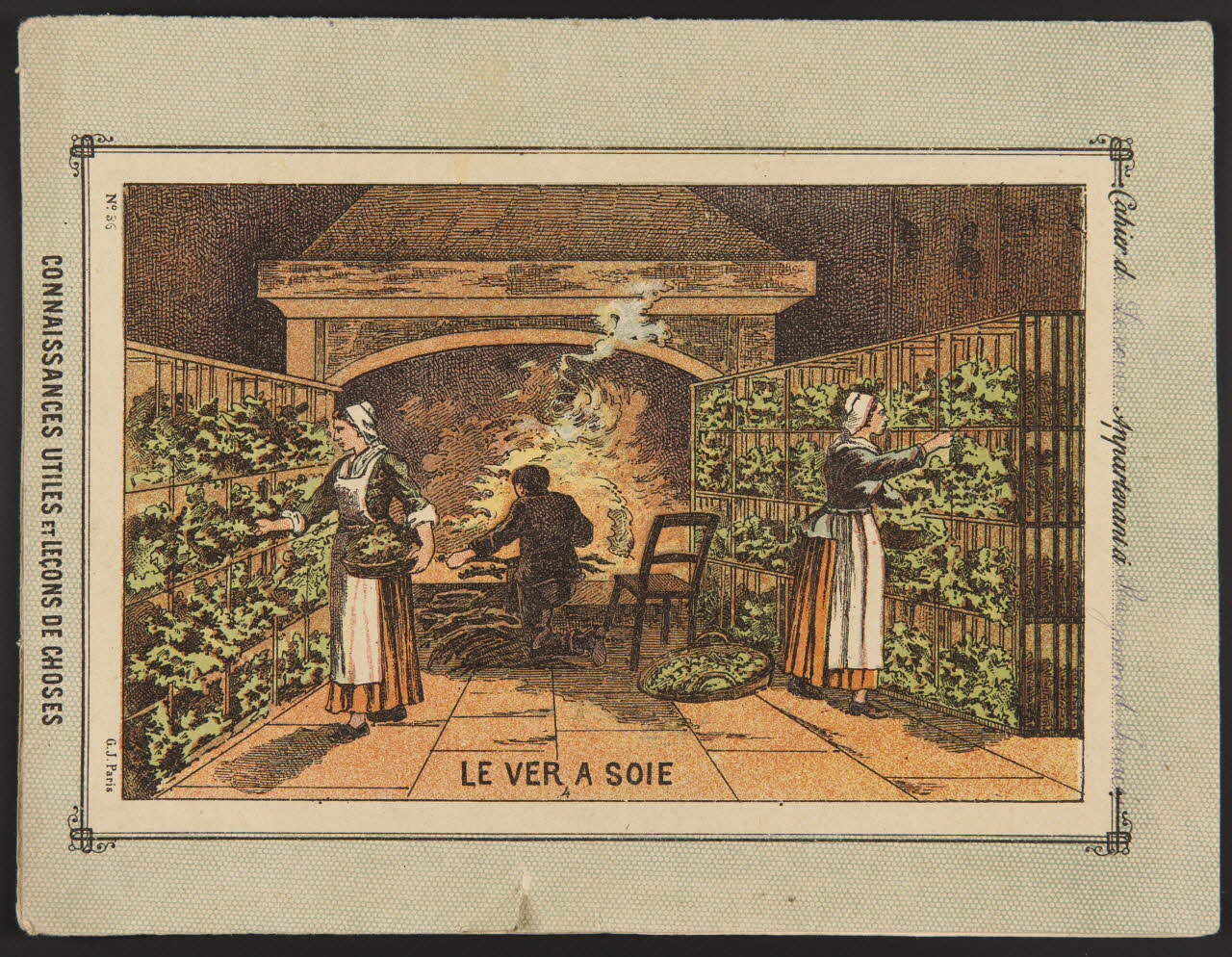 estampe CONNAISSANCES UTILES ET LECONS DE CHOSES  LE VER A SOIE 1985.61.22 Photo