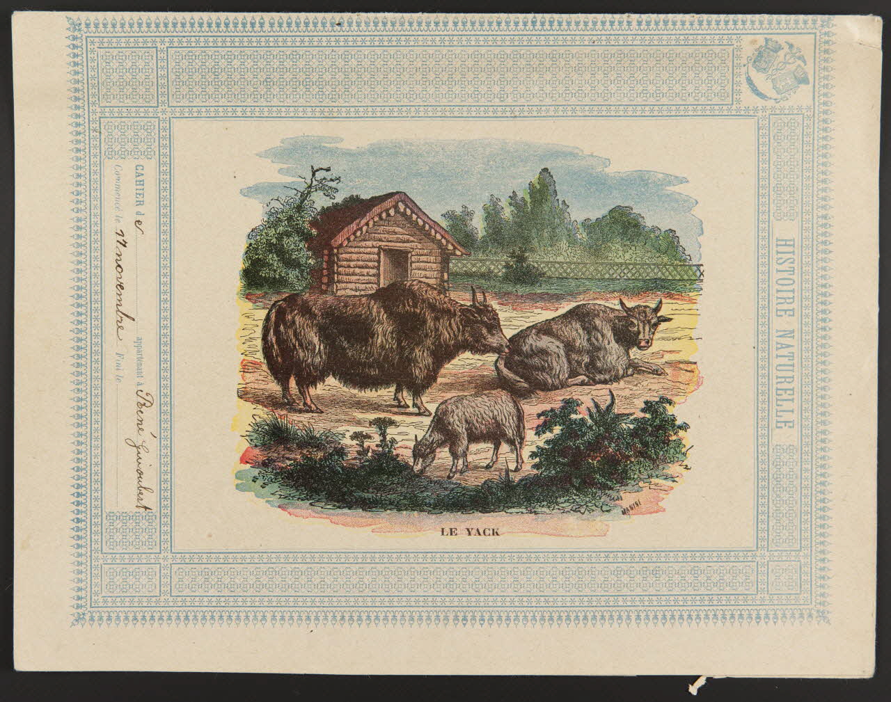 estampe HISTOIRE NATURELLE  LE YACK 1985.61.35 Photo