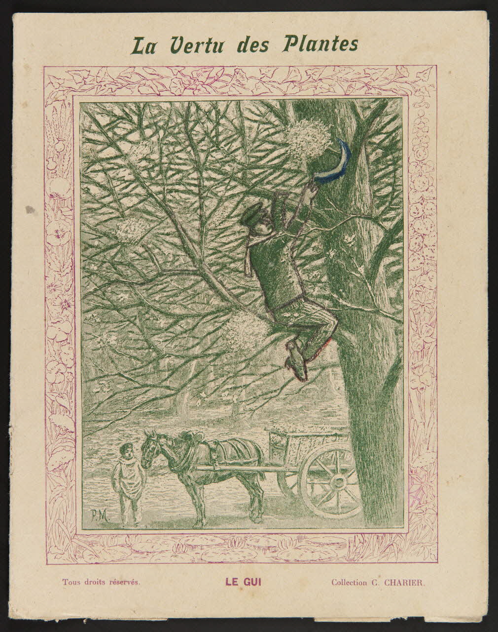 estampe LE GUI 1985.61.53 Photo