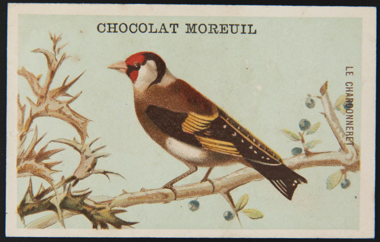 carte réclame chromo 1995.1.4907.1 Photo